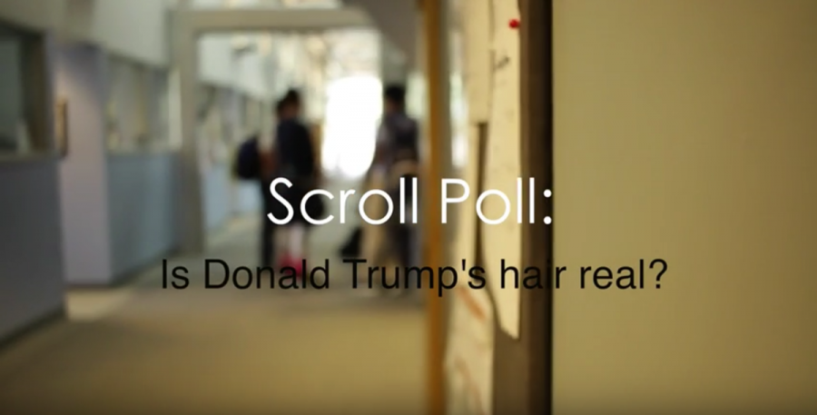 Video: Scroll Poll #8: Donald Trumps Hair