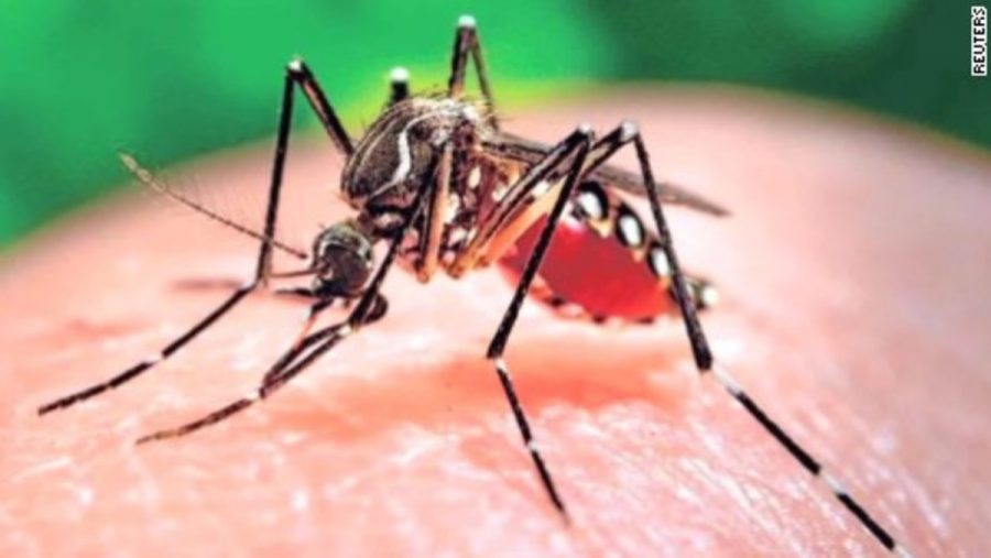 Are we Overreacting to the Zika Virus?