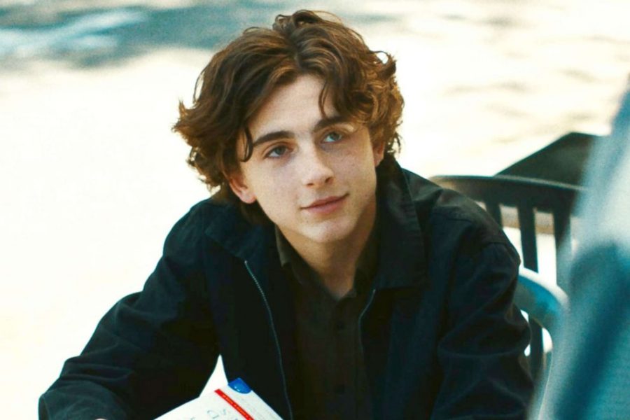Who+is+Timothe%C3%A9+Chalamet%2C+and+Why+You+Need+to+Know+Him