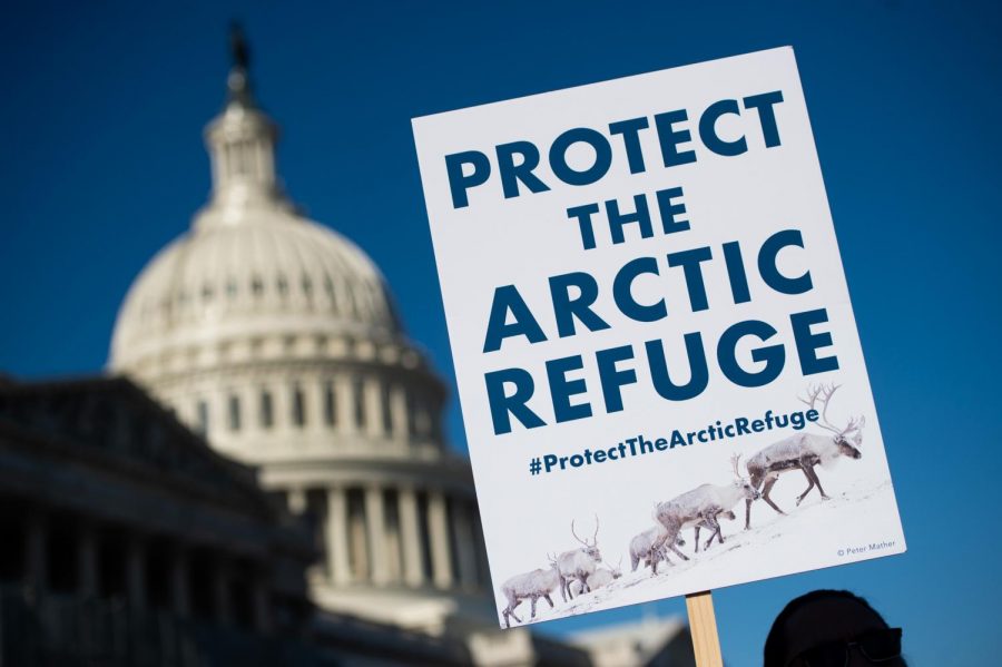Whats Happening in the Arctic?