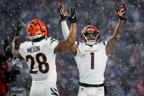 NFL Championship Weekend: A Look at the Rest of the Bengals’ Season